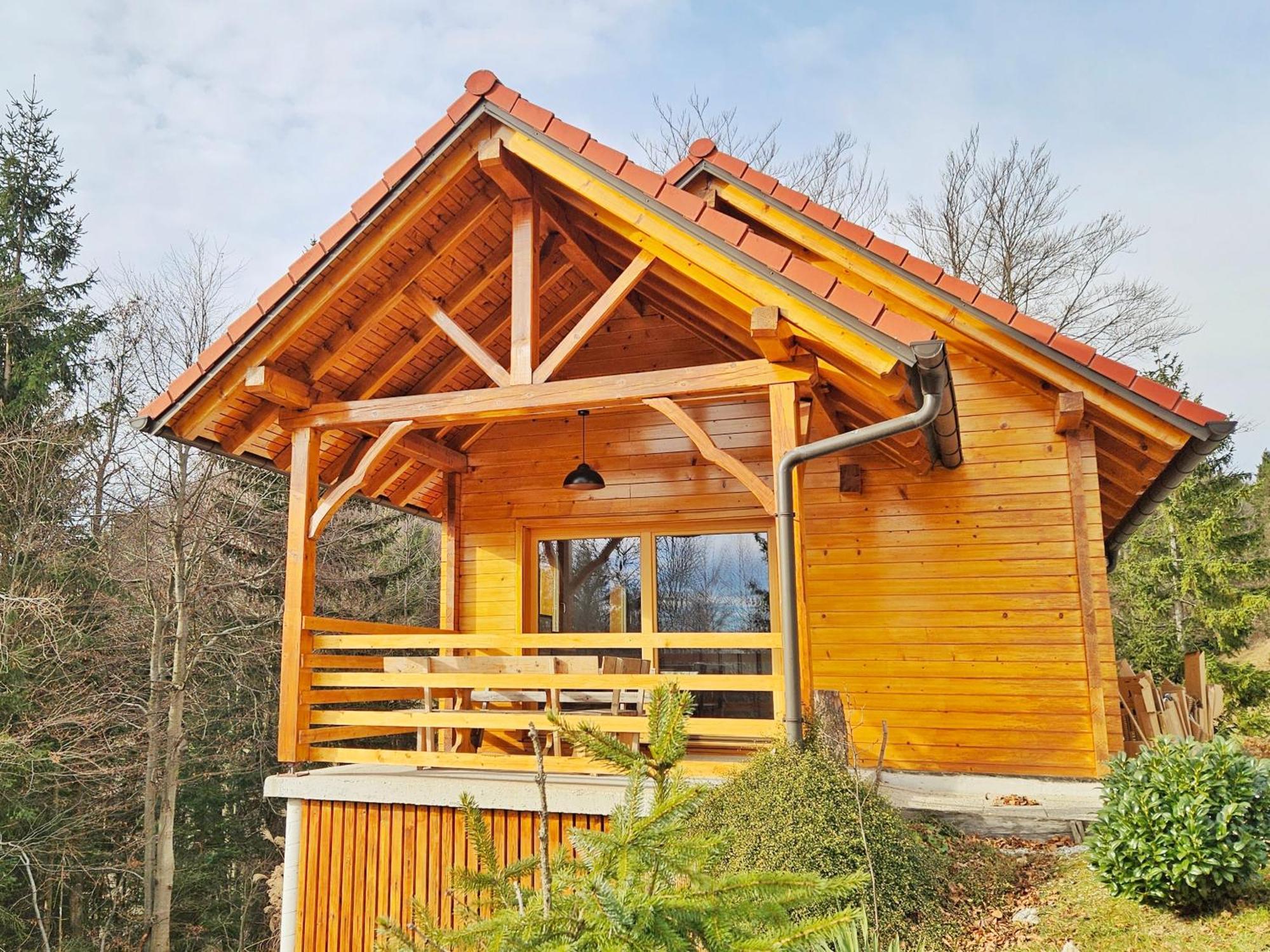 Villa Ica - Hisica V Hribih à Kamnik Extérieur photo